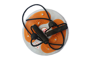 Twist Disk + Rope