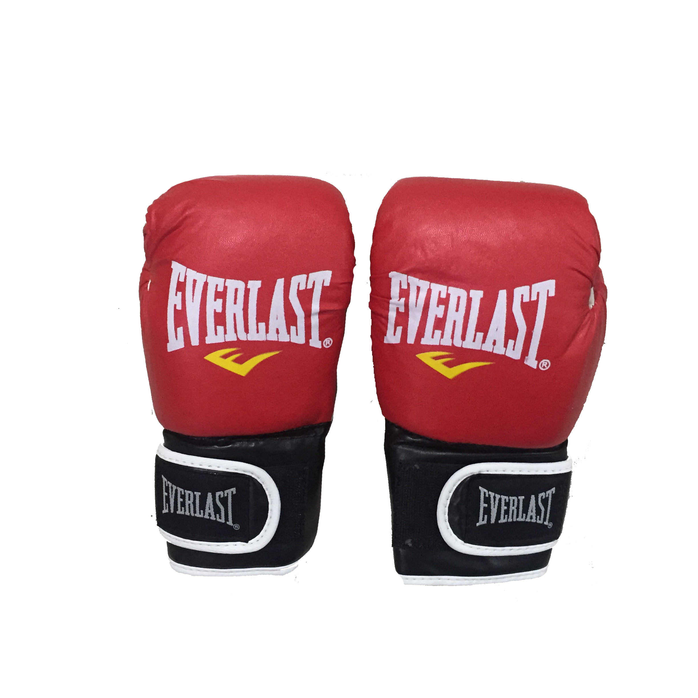 Everlast blank