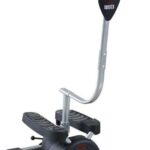 Cardio Twister Stepper